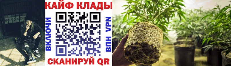 Где купить наркотики Тетюши А ПВП  Меф мяу мяу  Cocaine  Гашиш  Канабис 