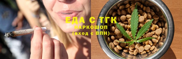 гидра Абаза