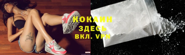 гидра Абаза