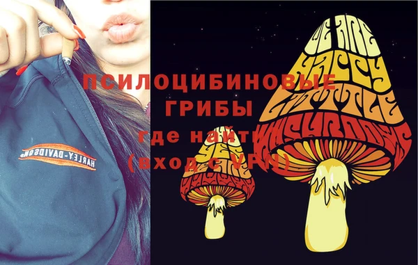 гидра Абаза
