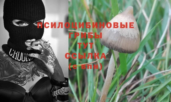 гидра Абаза