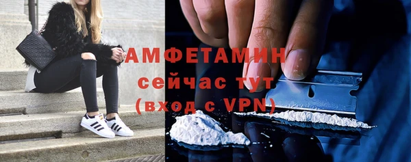 гидра Абаза