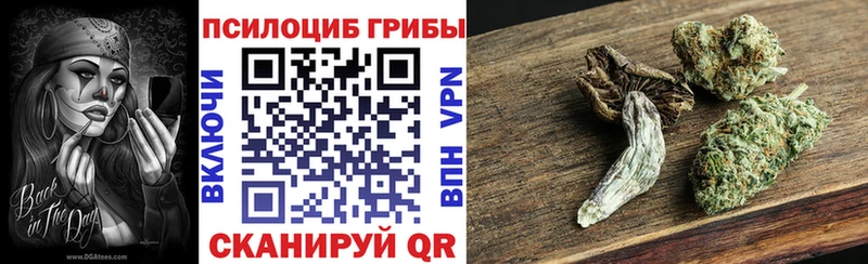 Галлюциногенные грибы прущие грибы  Тетюши 